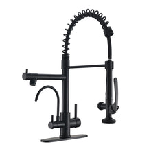 Load image into Gallery viewer, Fapully Commercial Kitchen Faucet with Pull Down Sprayer and Water Filter, Matte Black 3 in 1 Kitchen Faucets with Drinking Water Faucet