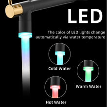 Load image into Gallery viewer, Fapully LED Kitchen Faucet with Pull Down Sprayer,Black&Gold Commercial Kitchen Faucet for Kitchen Sink