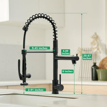 Load image into Gallery viewer, Fapully Black Kitchen Faucet,Commercial Pull Down Kitchen Sink Faucet with Sprayer