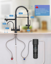 Load image into Gallery viewer, Fapully Commercial 3 Way Kitchen Faucets with Pull Down Sprayer and Water Filler,3 in 1 Kitchen Sink Faucet with Drinking Water Faucet Matte Black