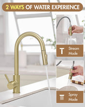 Load image into Gallery viewer, Kitchen Faucet Gold Modern Pull Out Kitchen Faucets Stainless Steel Single Handle Kitchen Sink Faucet with Pull Down Sprayer