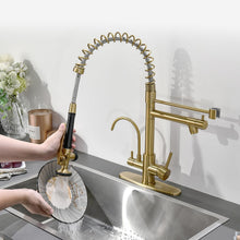 Load image into Gallery viewer, Fapully Brushed Gold Commercial Kitchen Faucet with Pull Down Sprayer and Water Filter,3 in 1 Kitchen Faucets with Drinking Water Faucet