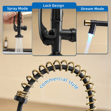 Load image into Gallery viewer, Fapully LED Kitchen Faucet with Pull Down Sprayer,Black&Gold Commercial Kitchen Faucet for Kitchen Sink