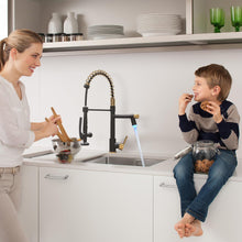 Load image into Gallery viewer, Fapully LED Kitchen Faucet with Pull Down Sprayer,Black&Gold Commercial Kitchen Faucet for Kitchen Sink