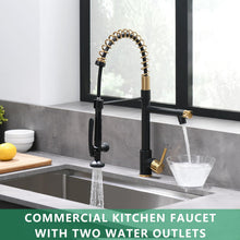 Load image into Gallery viewer, Fapully Black&Gold Kitchen Faucet with Sprayer,Commercial Pull Down Kitchen Faucet for Kitchen Sink