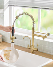 Load image into Gallery viewer, Fapully Commercial 3 Way Kitchen Faucets with Pull Down Sprayer and Water Filler,3 in 1 Kitchen Sink Faucet with Drinking Water Faucet Brushed Gold