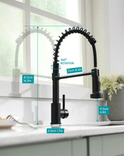 Load image into Gallery viewer, Commercial Style Kitchen Sink Faucet Single Handle with Pull Down Sprayer,Black Painting Kitchen Tap
