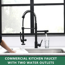 Load image into Gallery viewer, Fapully Black Kitchen Faucet,Commercial Pull Down Kitchen Sink Faucet with Sprayer