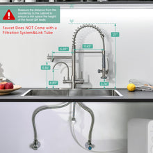 Load image into Gallery viewer, Fapully 3 in 1 Kitchen Faucet with Water Filler and Pull Down Sprayer,Brushed Nickel Commercial Kitchen Sink Faucet with Drinking Water Faucet