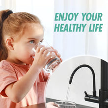 Load image into Gallery viewer, Fapully Commercial Kitchen Faucet with Pull Down Sprayer and Water Filter, Matte Black 3 in 1 Kitchen Faucets with Drinking Water Faucet