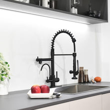 Load image into Gallery viewer, Fapully Commercial Kitchen Faucet with Pull Down Sprayer and Water Filter, Matte Black 3 in 1 Kitchen Faucets with Drinking Water Faucet