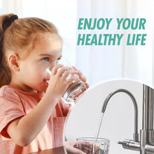 Load image into Gallery viewer, Fapully 3 in 1 Kitchen Faucet with Water Filler and Pull Down Sprayer,Brushed Nickel Commercial Kitchen Sink Faucet with Drinking Water Faucet