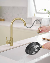 Load image into Gallery viewer, Kitchen Faucet Gold Modern Pull Out Kitchen Faucets Stainless Steel Single Handle Kitchen Sink Faucet with Pull Down Sprayer