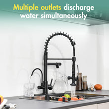 Load image into Gallery viewer, Fapully Commercial Kitchen Faucet with Pull Down Sprayer and Water Filter, Matte Black 3 in 1 Kitchen Faucets with Drinking Water Faucet