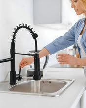 Load image into Gallery viewer, Fapully Black Kitchen Faucet, Commercial Kitchen Faucet with Pull Down Sprayer, Single Handle Spring Kitchen Sink Faucet with Sprayer, Robinet de Cuisine
