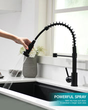 Load image into Gallery viewer, Commercial Style Kitchen Sink Faucet Single Handle with Pull Down Sprayer,Black Painting Kitchen Tap
