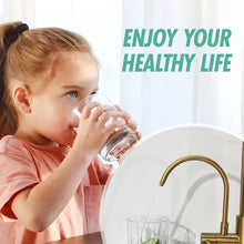 Load image into Gallery viewer, Fapully Brushed Gold Commercial Kitchen Faucet with Pull Down Sprayer and Water Filter,3 in 1 Kitchen Faucets with Drinking Water Faucet