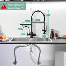 Load image into Gallery viewer, Fapully Commercial Kitchen Faucet with Pull Down Sprayer and Water Filter, Matte Black 3 in 1 Kitchen Faucets with Drinking Water Faucet