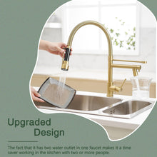 Load image into Gallery viewer, Fapully LED Kitchen Sink Faucet with Pull Down Sprayer Brushed Gold