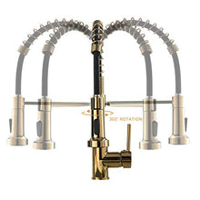 Load image into Gallery viewer, Fapully Gold Kitchen Faucet with Sprayer,Pull Down Single Handle Kitchen Sink Faucet