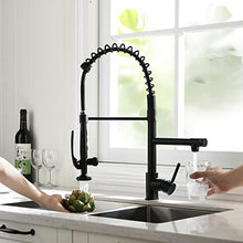 Load image into Gallery viewer, Fapully Black Kitchen Faucet,Commercial Pull Down Kitchen Sink Faucet with Sprayer