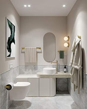 Load image into Gallery viewer, Fapully Brushed Gold Bathroom Accessories Set,4 Peice Bathroom Hardware Set Wall Mount