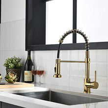 Load image into Gallery viewer, Fapully Gold Kitchen Faucet with Sprayer,Pull Down Single Handle Kitchen Sink Faucet
