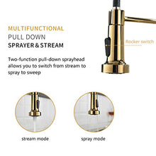 Load image into Gallery viewer, Fapully Gold Kitchen Faucet with Sprayer,Pull Down Single Handle Kitchen Sink Faucet