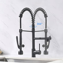 Load image into Gallery viewer, Fapully Black Kitchen Faucet with Pull Down Sprayer,Commercial LED Kitchen Faucet,Single Handle Single Hole Kitchen Sink Faucet

