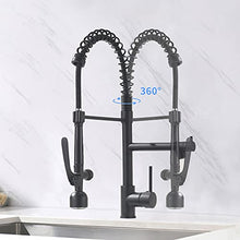 Load image into Gallery viewer, Fapully Black Kitchen Faucet with Pull Down Sprayer,Commercial LED Kitchen Faucet,Single Handle Single Hole Kitchen Sink Faucet
