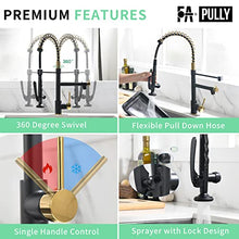 Load image into Gallery viewer, Fapully Black&Gold Kitchen Faucet with Sprayer,Commercial Pull Down Kitchen Faucet for Kitchen Sink
