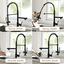 Load image into Gallery viewer, Fapully Black Kitchen Faucet,Commercial Pull Down Kitchen Sink Faucet with Sprayer
