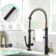 Load image into Gallery viewer, Fapully Black&Gold Kitchen Faucet with Sprayer,Commercial Pull Down Kitchen Faucet for Kitchen Sink
