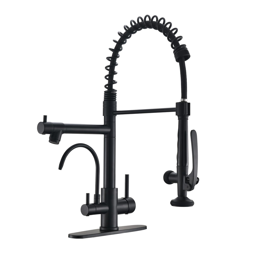 Fapully Commercial Kitchen Faucet with Pull Down Sprayer and Water Filter, Matte Black 3 in 1 Kitchen Faucets with Drinking Water Faucet