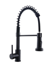 Load image into Gallery viewer, Commercial Style Kitchen Sink Faucet Single Handle with Pull Down Sprayer,Black Painting Kitchen Tap
