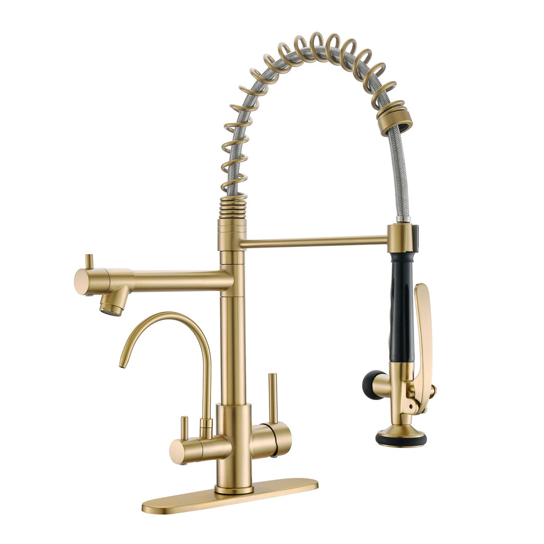 Fapully Brushed Gold Commercial Kitchen Faucet with Pull Down Sprayer and Water Filter,3 in 1 Kitchen Faucets with Drinking Water Faucet
