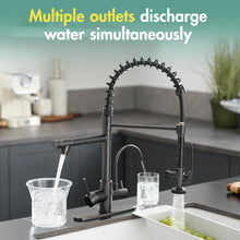 Load image into Gallery viewer, Fapully 3 in 1 Kitchen Faucet with Water Filler and Pull Down Sprayer, Oil Rubbed Bronze Commercial Kitchen Sink Faucet with Drinking Water Faucet for 1 or 3 Hole
