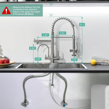 Load image into Gallery viewer, Fapully 3 in 1 Kitchen Faucet with Water Filler and Pull Down Sprayer,Brushed Nickel Commercial Kitchen Sink Faucet with Drinking Water Faucet
