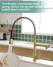 Load image into Gallery viewer, Brushed Gold Kitchen Faucet with Pull Down Sprayer,Commercial Kitchen Faucet Single Handle Spring Faucet for Kitchen Sink,Gold Kitchen Sink Faucet,Robinet de Cuisine
