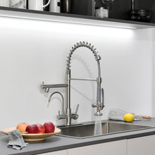 Load image into Gallery viewer, Fapully 3 in 1 Kitchen Faucet with Water Filler and Pull Down Sprayer,Brushed Nickel Commercial Kitchen Sink Faucet with Drinking Water Faucet
