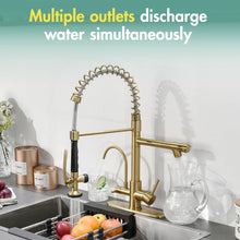 Load image into Gallery viewer, Fapully Brushed Gold Commercial Kitchen Faucet with Pull Down Sprayer and Water Filter,3 in 1 Kitchen Faucets with Drinking Water Faucet
