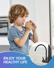 Load image into Gallery viewer, Fapully Commercial 3 Way Kitchen Faucets with Pull Down Sprayer and Water Filler,3 in 1 Kitchen Sink Faucet with Drinking Water Faucet Matte Black
