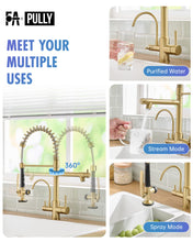 Load image into Gallery viewer, Fapully Commercial 3 Way Kitchen Faucets with Pull Down Sprayer and Water Filler,3 in 1 Kitchen Sink Faucet with Drinking Water Faucet Brushed Gold
