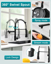 Load image into Gallery viewer, Fapully Black Kitchen Faucet, Commercial Kitchen Faucet with Pull Down Sprayer, Single Handle Spring Kitchen Sink Faucet with Sprayer, Robinet de Cuisine
