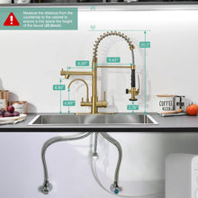 Load image into Gallery viewer, Fapully Brushed Gold Commercial Kitchen Faucet with Pull Down Sprayer and Water Filter,3 in 1 Kitchen Faucets with Drinking Water Faucet
