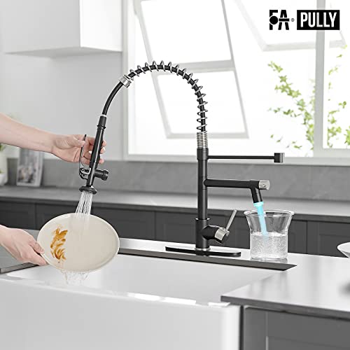 Matte Black LED Kitchen Faucet - Pull-Down Sprayer, High Arc, Single Handle, 5-Year Warranty
